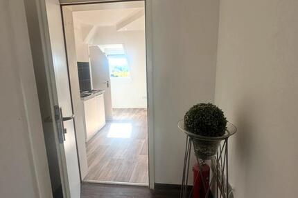 Wohnung Ludwigshafen am Rhein Parkinsel - 1 Zimmer, 35 m&sup2;, 700&euro; | Angebot:26380831