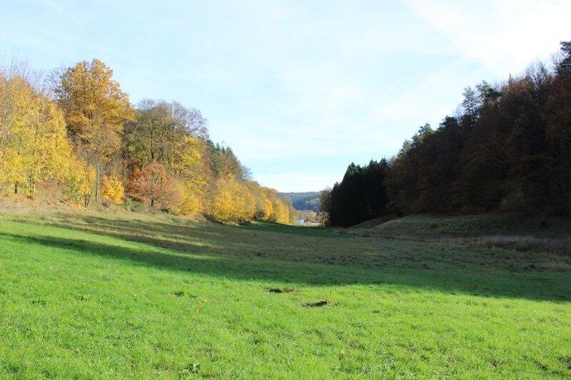 Grundstück Wald-Michelbach Kocherbach - 118.000&euro; | Angebot:23956533