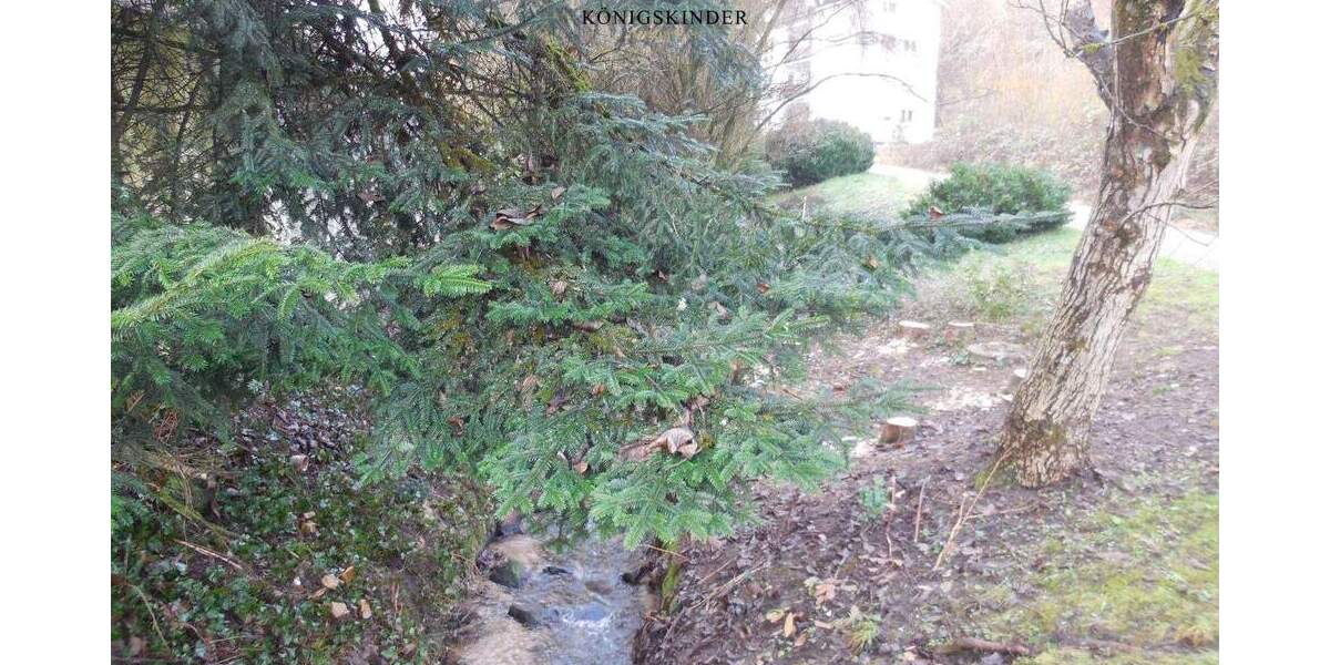 Etagenwohnung Schönau - 2 Zimmer, 60 m&sup2;, 149.900&euro; | Angebot:24529961