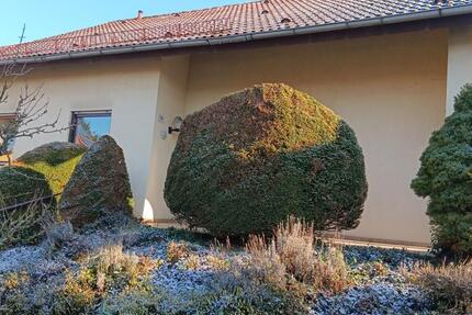 Freistehendes EFH mit Nebengebäude und großem Garten zimmer