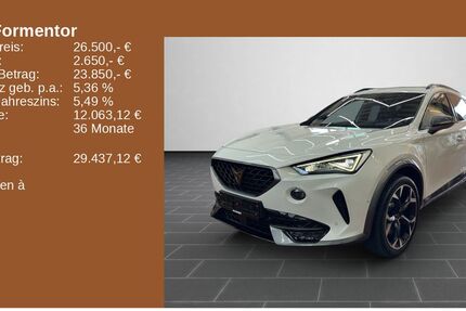 Cupra Formentor 84.745 km 25.400 &euro; Ladenburg 68526