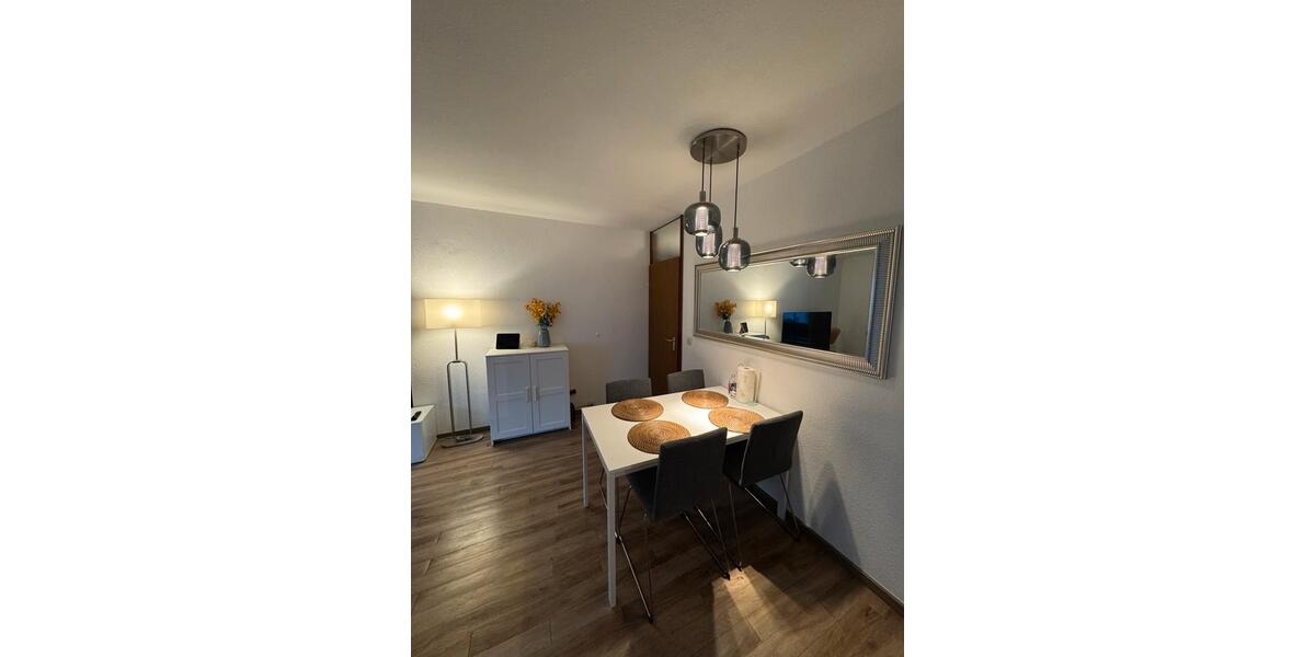 Moderne voll möblierte Wohnung in Top-Lage in Heidelberg 2 zimmer