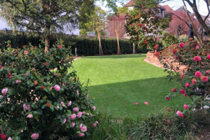 Haus zum Mieten in Heidelberg 3.800 € 196 m² 8 zimmer