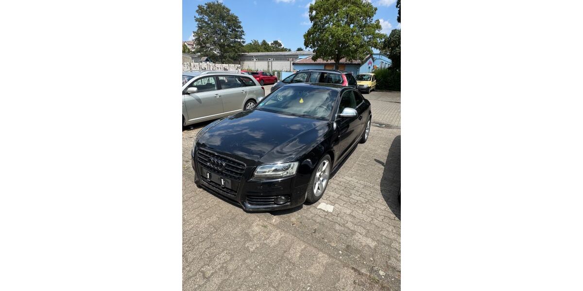 Audi A5 313.000 km 3.700 &euro; Ludwigshafen am Rhein 67071