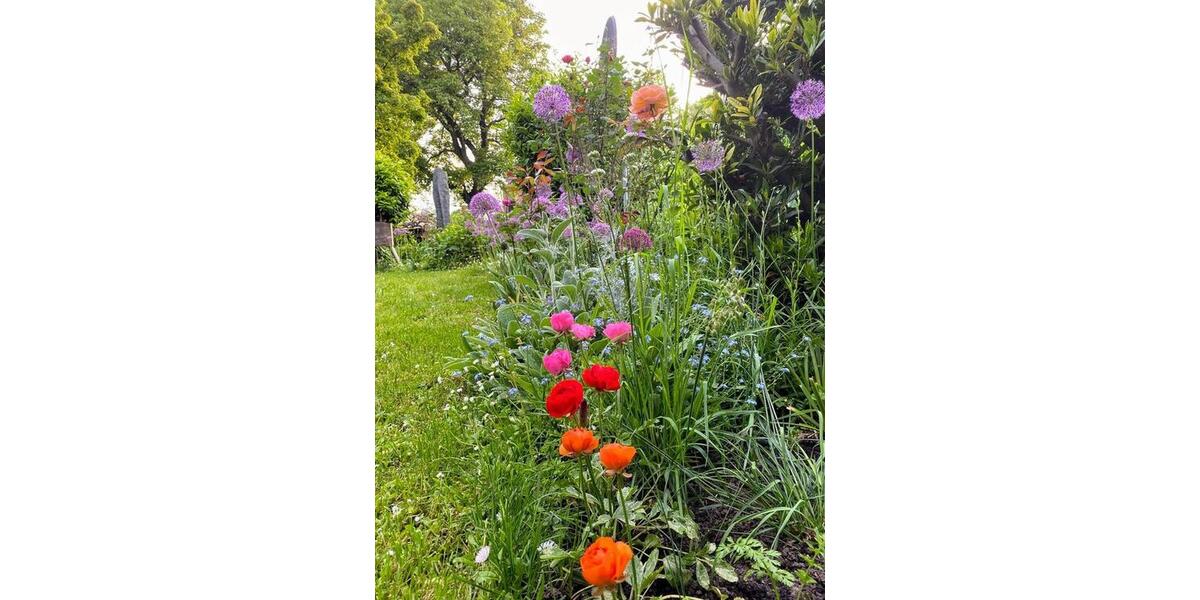 Reihenhaus Heppenheim (Bergstraße) - 6 Zimmer, 155 m&sup2;, 2.200&euro; | Angebot:24897353