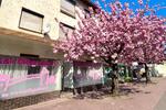Gewerbeobjekt Weinheim - 990&euro; | Angebot:26235528