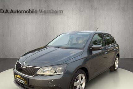Skoda Fabia 171.000 km 6.990 € Viernheim 68519