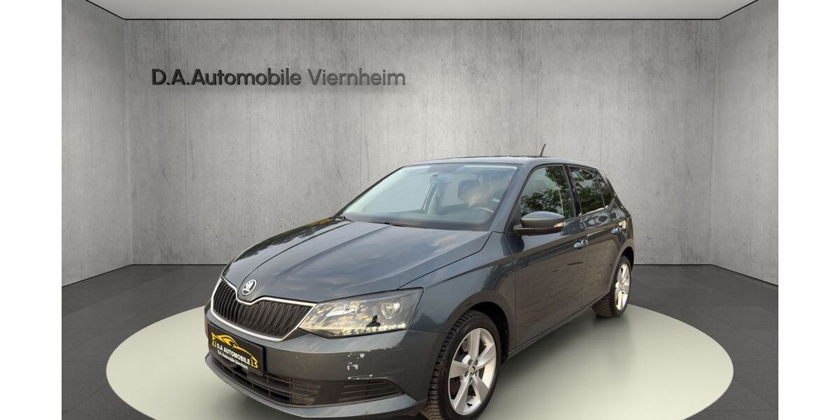 Skoda Fabia 171.000 km 6.990 € Viernheim 68519