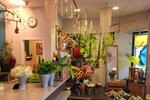 Gewerbeobjekt Mannheim Neckarstadt-Ost - 900&euro; | Angebot:26355908