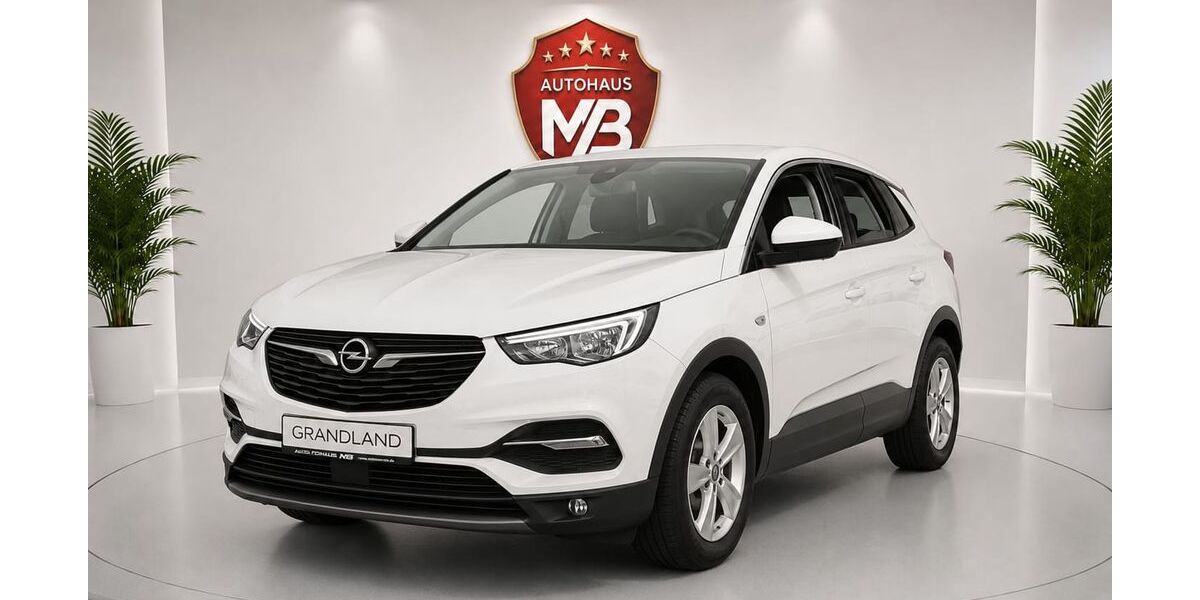 Opel Grandland (X) 118.000 km 13.990 &euro; Ludwigshafen am Rhein 67059
