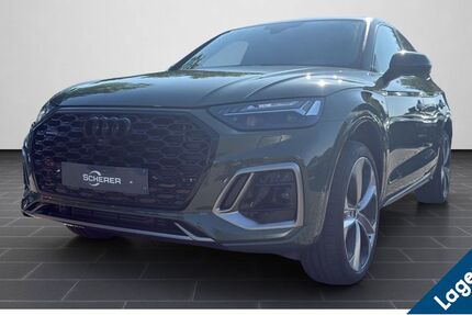 Audi Q5 4.900 km 61.880 € Ludwigshafen 67063