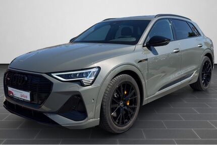 Audi e-tron 26.196 km 39.990 &euro; Ludwigshafen 67063