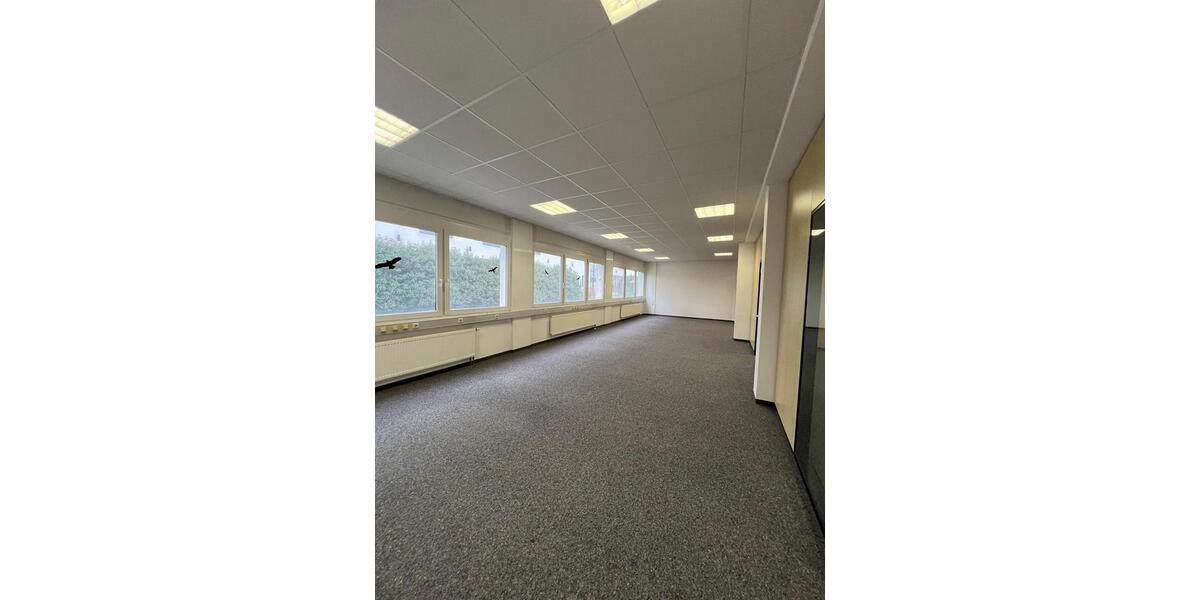 Gewerbeobjekt Sankt Leon-Rot Rot - 1.200&euro; | Angebot:23661702