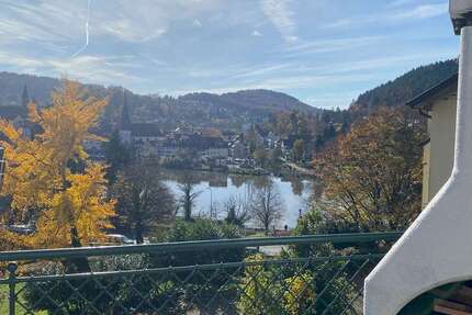 Wohnung zum Mieten in Neckargemünd 1.500 € 150 m² 4 zimmer