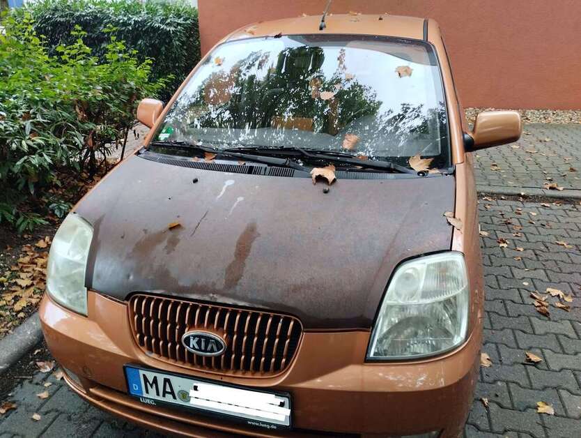 Picanto