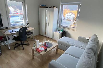 Neu! Frisch sanierte 1-Zimmerwohnung zu vermieten in Neckargemünd 1 zimmer
