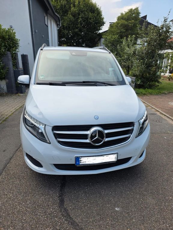 V 250