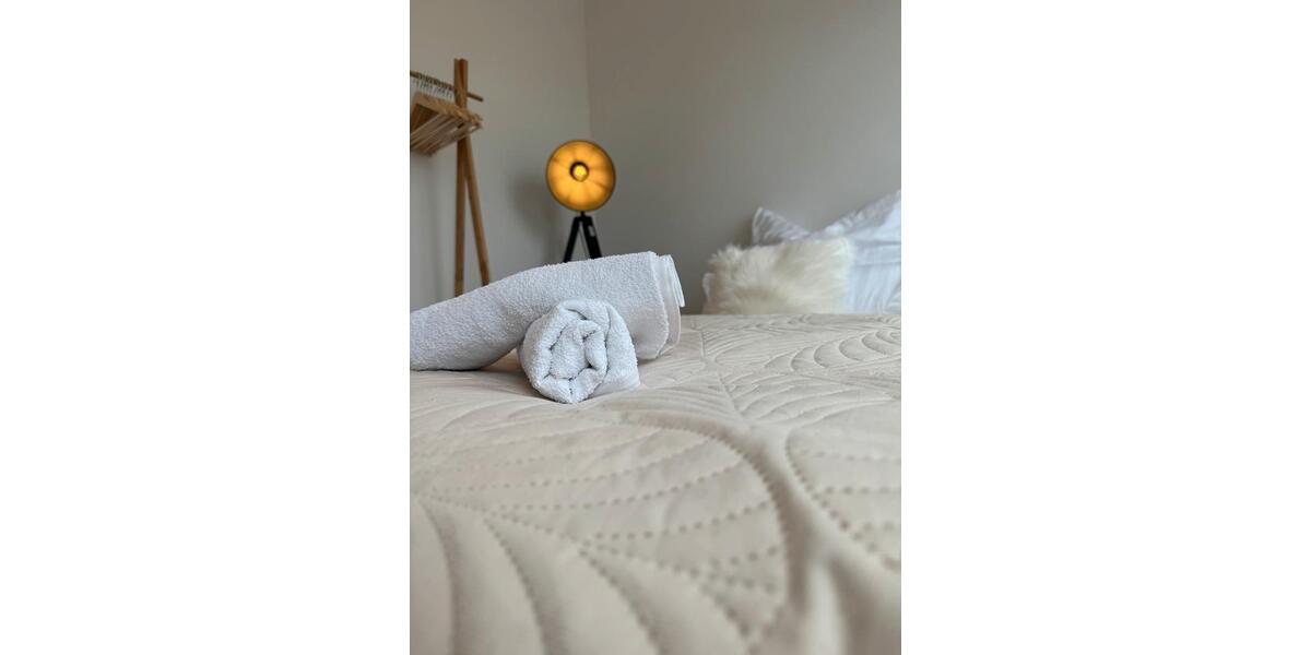 Dachgeschoßwohnung Ludwigshafen am Rhein - 2.5 Zimmer, 50 m&sup2;, 1.000&euro; | Angebot:26321144