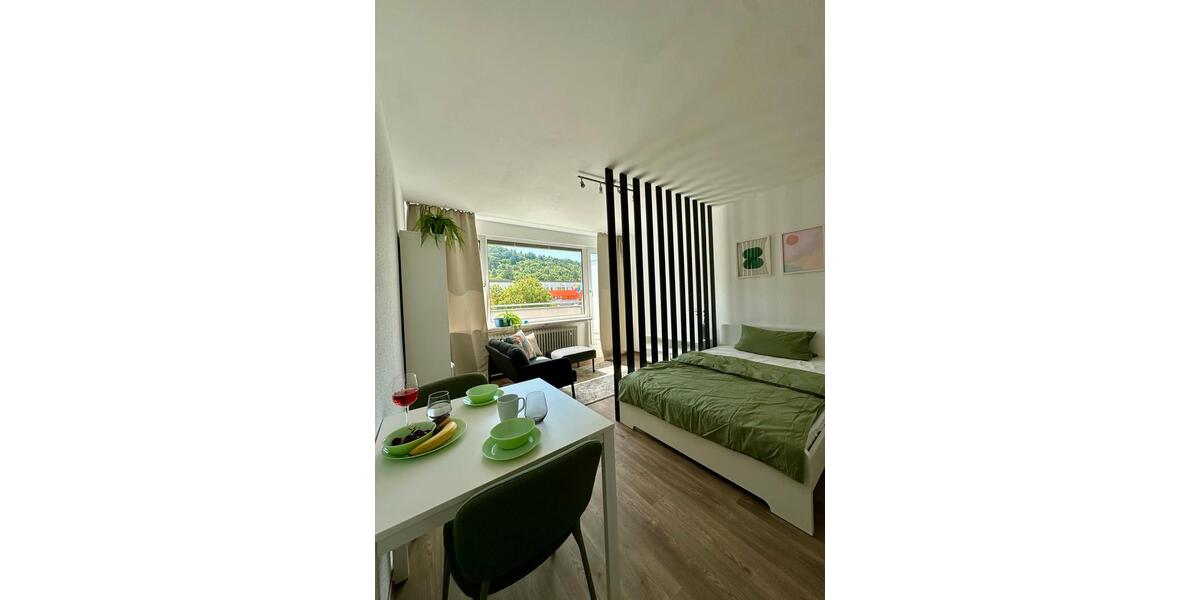 Dachgeschoßwohnung Eberbach - 1 Zimmer, 36 m&sup2;, 900&euro; | Angebot:26462131