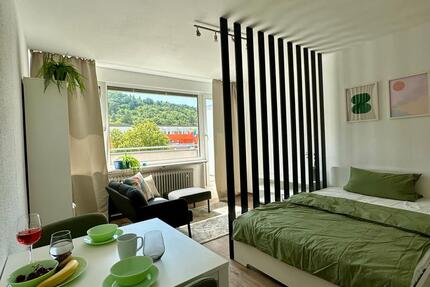 Wohnung Eberbach - 1 Zimmer, 36 m&sup2;, 900&euro; | Angebot:26462131