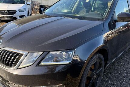 Skoda Octavia 250.371 km 7.973 € Heidelberg 69123