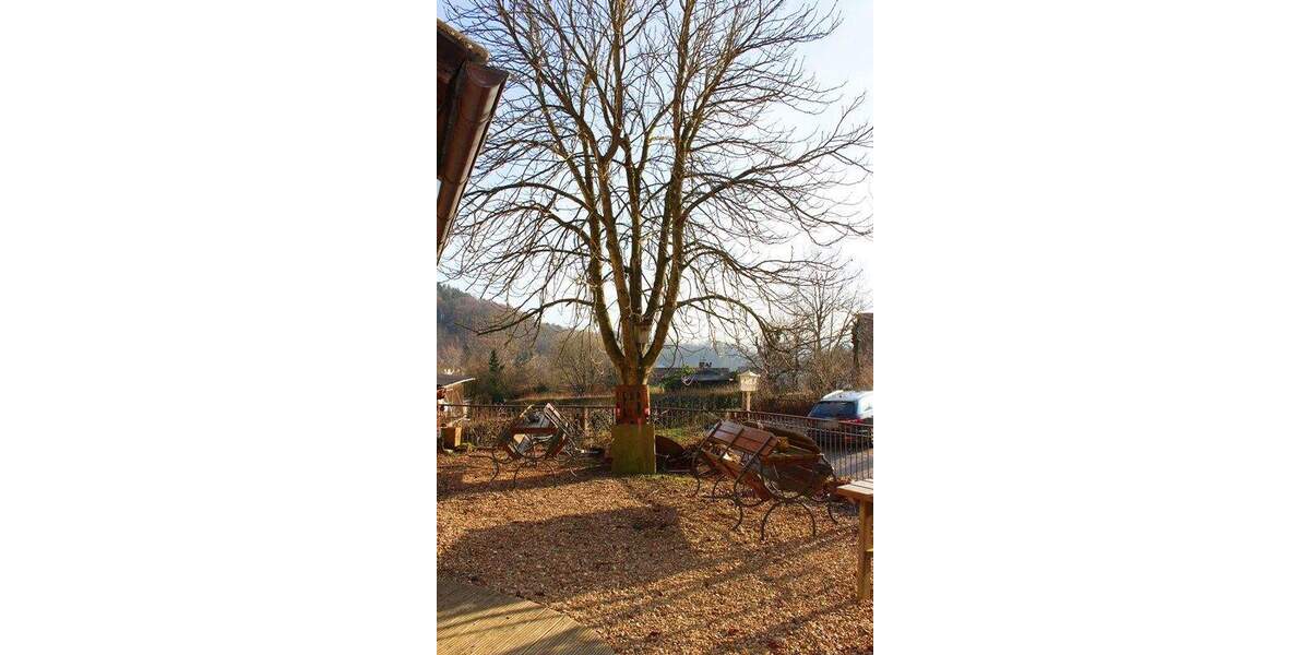 Mehrfamilienhaus, Wohnhaus Wald-Michelbach Gadern - 2 Zimmer, 576 m&sup2;, 695.000&euro; | Angebot:24874573