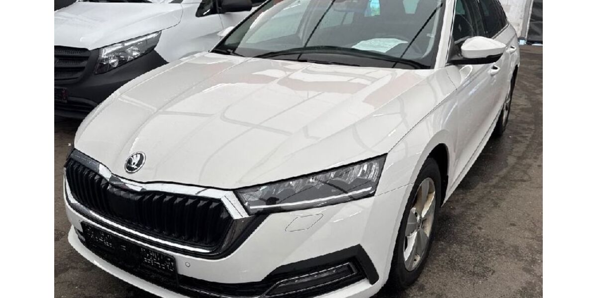 Skoda Octavia 176.000 km 13.685 &euro; Heidelberg 69123