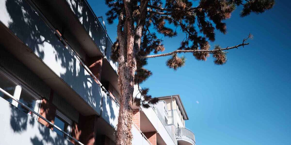 Etagenwohnung Heidelberg Neuenheim - 4 Zimmer, 92 m&sup2;, 480.000&euro; | Angebot:25531802