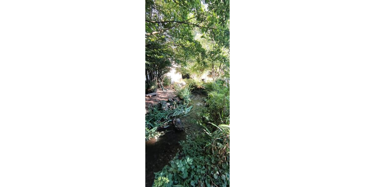 Mehrfamilienhaus, Wohnhaus Wald-Michelbach Michelbach - 405.000&euro; | Angebot:26270556