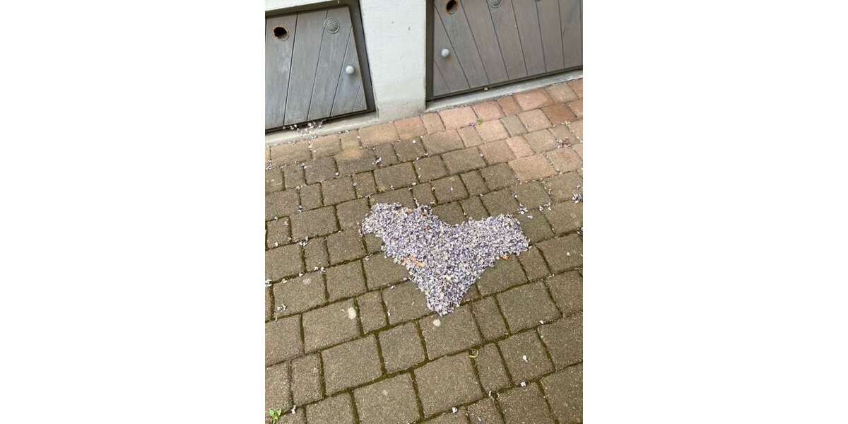 Einfamilienhaus Heidelberg - 9 Zimmer, 260 m&sup2;, 740.000&euro; | Angebot:26458437