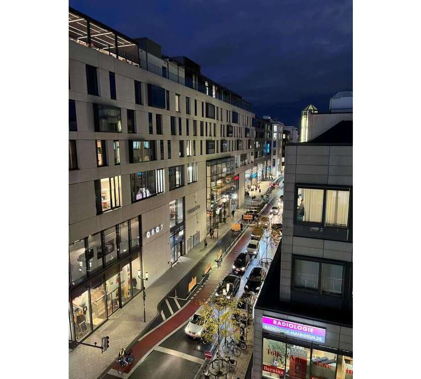 Wohnung zum Mieten in Mannheim 2.190 € 146 m²
