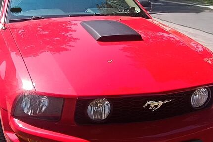 Ford Mustang 135.000 km 14.500 &euro; Viernheim 68519