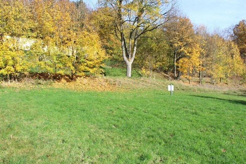 Grundstück Wald-Michelbach Kocherbach - 118.000&euro; | Angebot:23956533