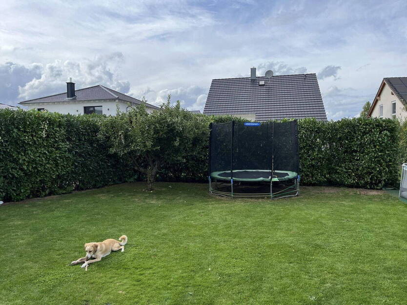 Modernes Einfamilienhaus in naturnaher Lage von Bürstadt - ideal für Familien