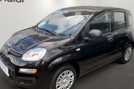 Fiat Panda 1.899 km 13.390 &euro; Wiesloch 69168
