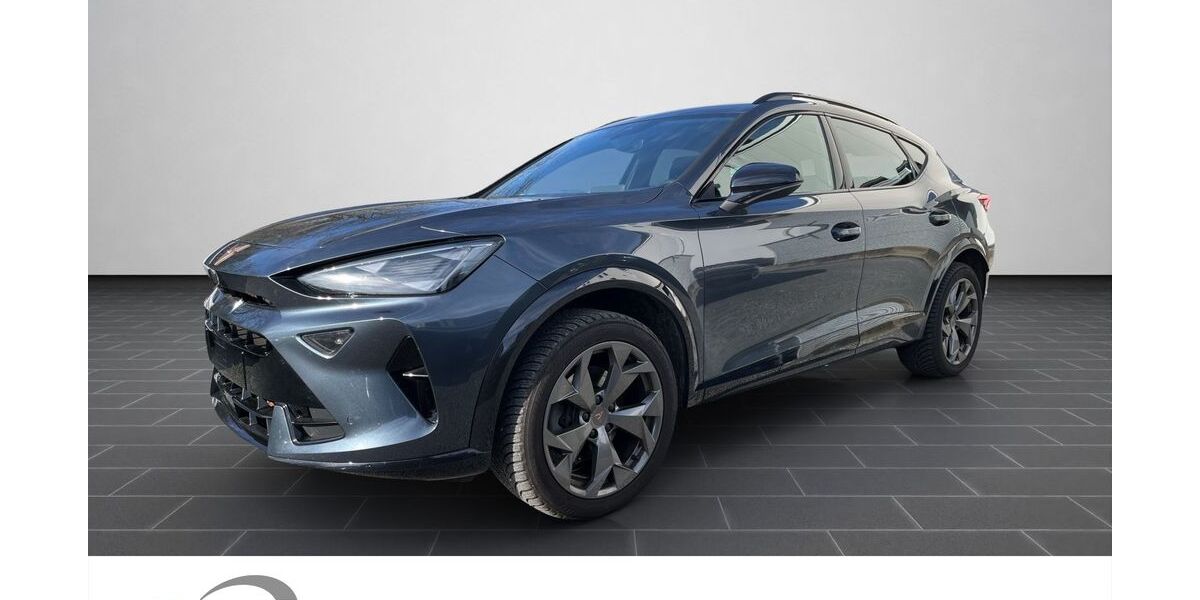 Cupra Formentor 18.094 km 29.990 &euro; Heidelberg 69123