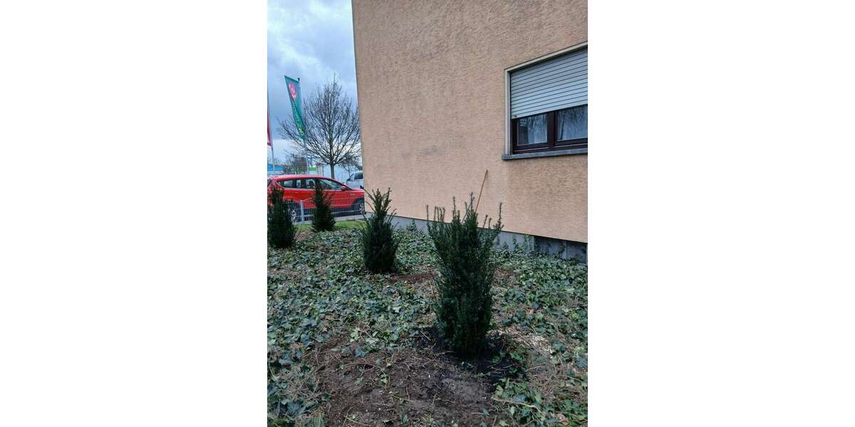 Etagenwohnung Ludwigshafen Mundenheim - 3 Zimmer, 86 m&sup2;, 895&euro; | Angebot:25429325