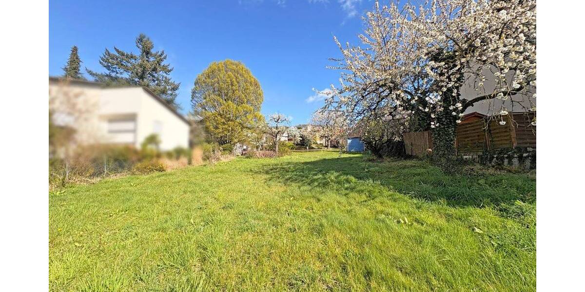 Grundstück Weinheim / Lützelsachsen Lützelsachsen - 998.000&euro; | Angebot:25968539