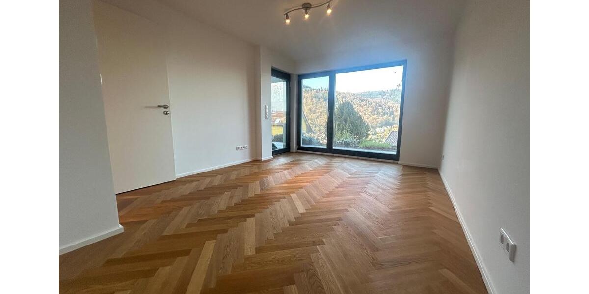 Doppelhaushälfte Heidelberg Peterstal - 6 Zimmer, 168 m&sup2;, 1.490.000&euro; | Angebot:26505728