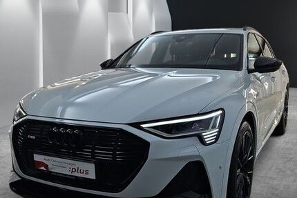 Audi e-tron 30.015 km 40.390 &euro; Speyer 67346