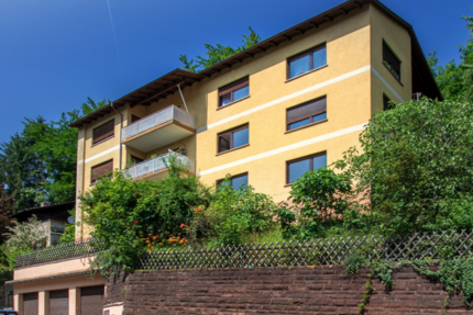 Wohnen auf Zeit in Heidelberg 1.600 € 2 zimmer