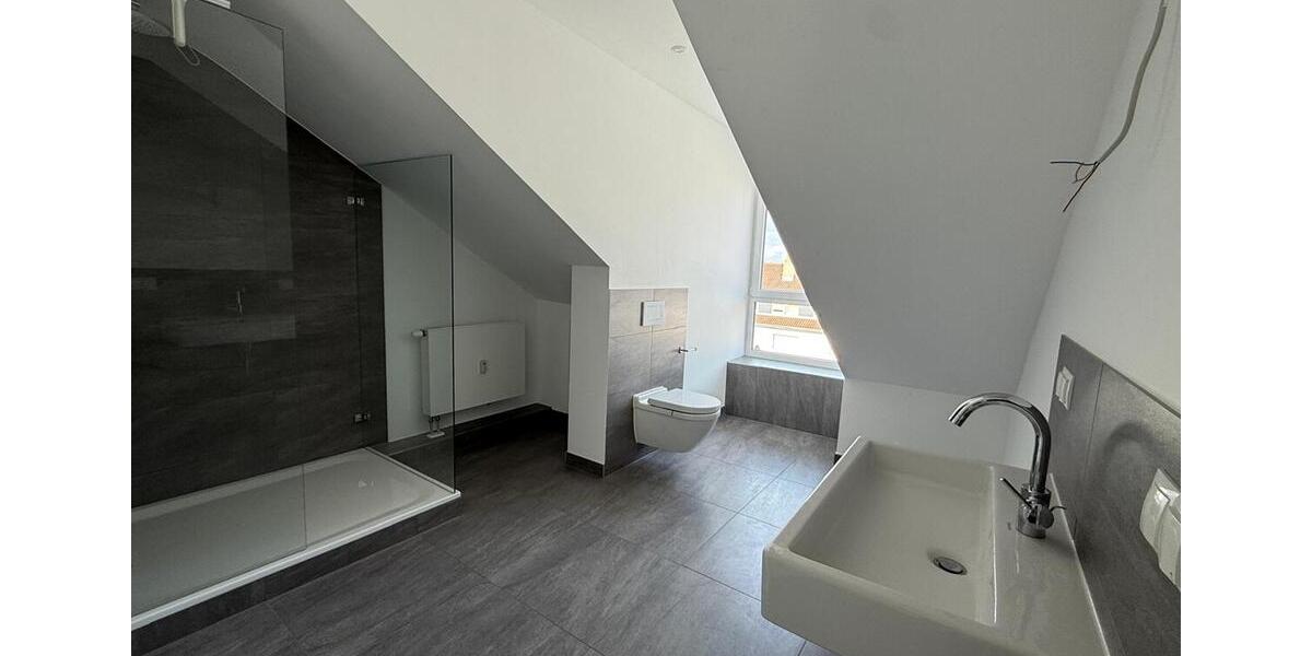 Dachgeschoßwohnung Frankenthal (Pfalz) - 2 Zimmer, 95 m&sup2;, 1.020&euro; | Angebot:23471977