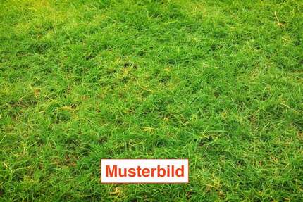 Grundstück Mutterstadt - 355.000&euro; | Angebot:25651964