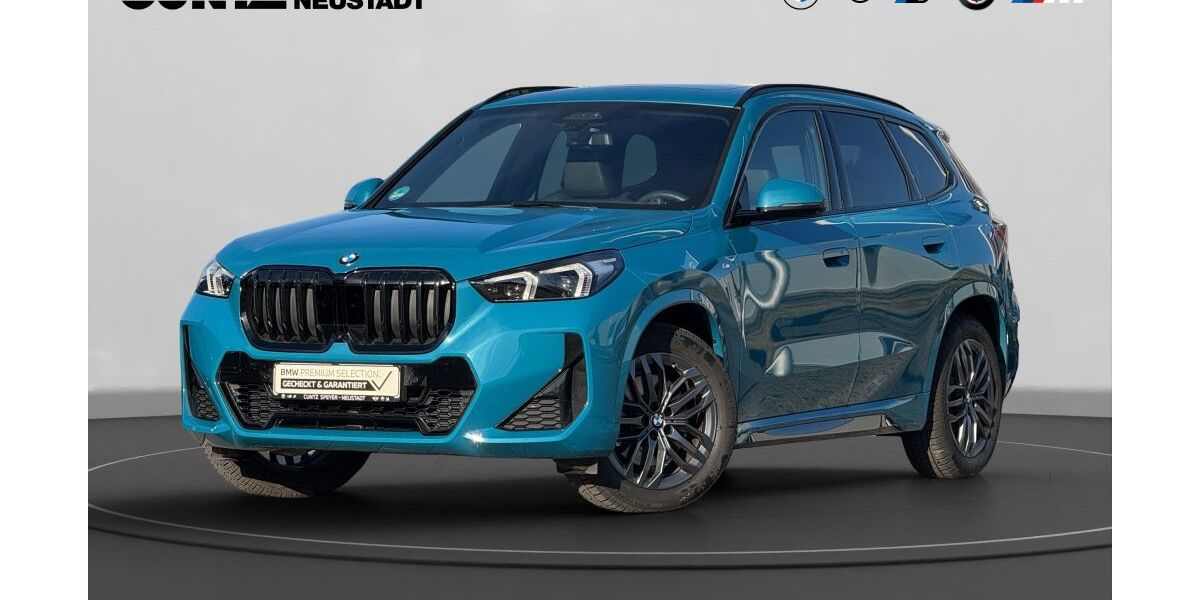 BMW X1 27.699 km 50.580 &euro; Speyer 67346