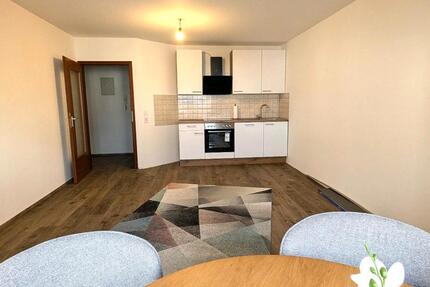 Wohnung Ludwigshafen am Rhein Mundenheim - 2 Zimmer, 55 m&sup2;, 995&euro; | Angebot:26338662