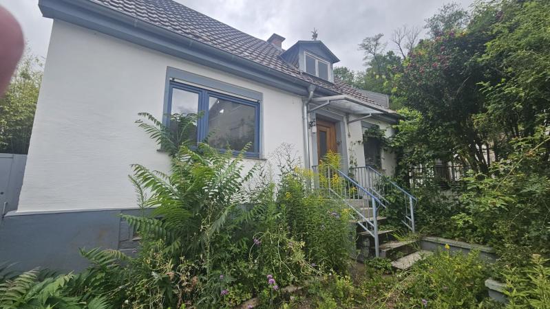 ObjNr:19720 - EFH sucht Handwerker - sanierungsbedürftiges kleines Haus in WeinheimBergstr - Einfamilienhaus Weinheim | Angebot:21480298