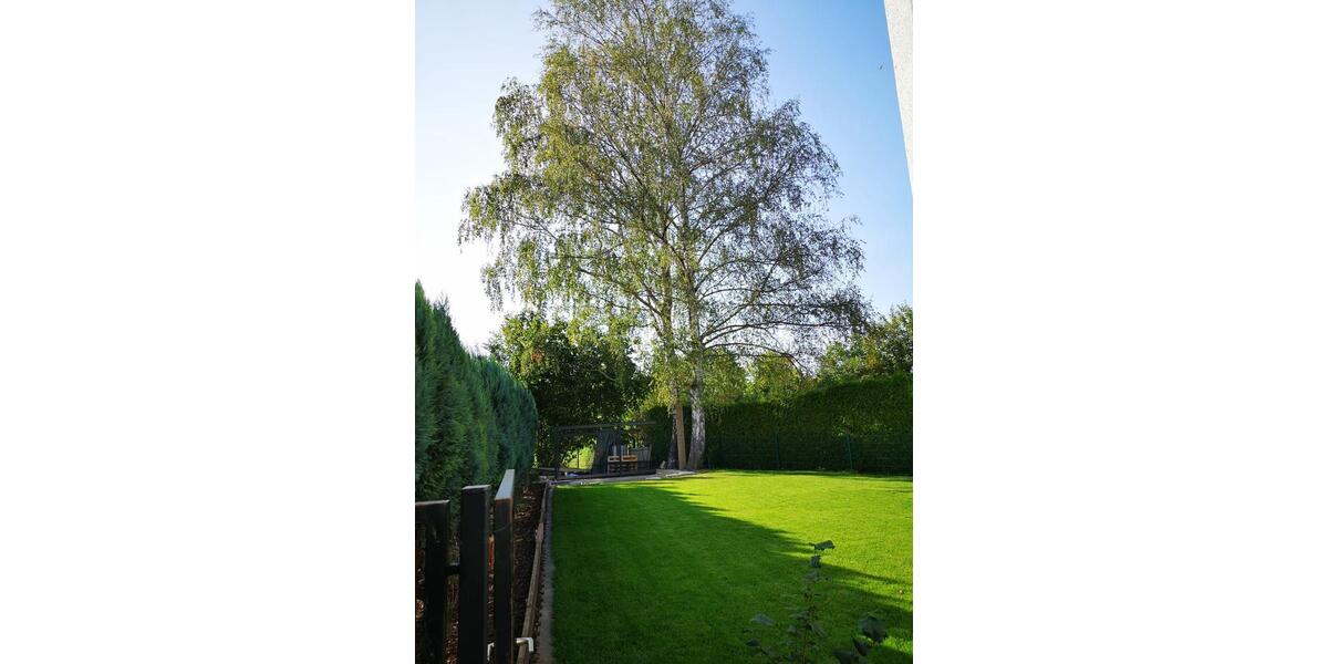Hochparterre Rimbach - 5 Zimmer, 100 m&sup2;, 1.300&euro; | Angebot:26614070