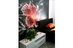 Erdgeschoßwohnung Ludwigshafen am Rhein Edigheim - 1 Zimmer, 57 m&sup2;, 170.000&euro; | Angebot:27085188