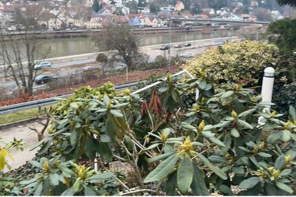 Mietwohnung 2 zimmer