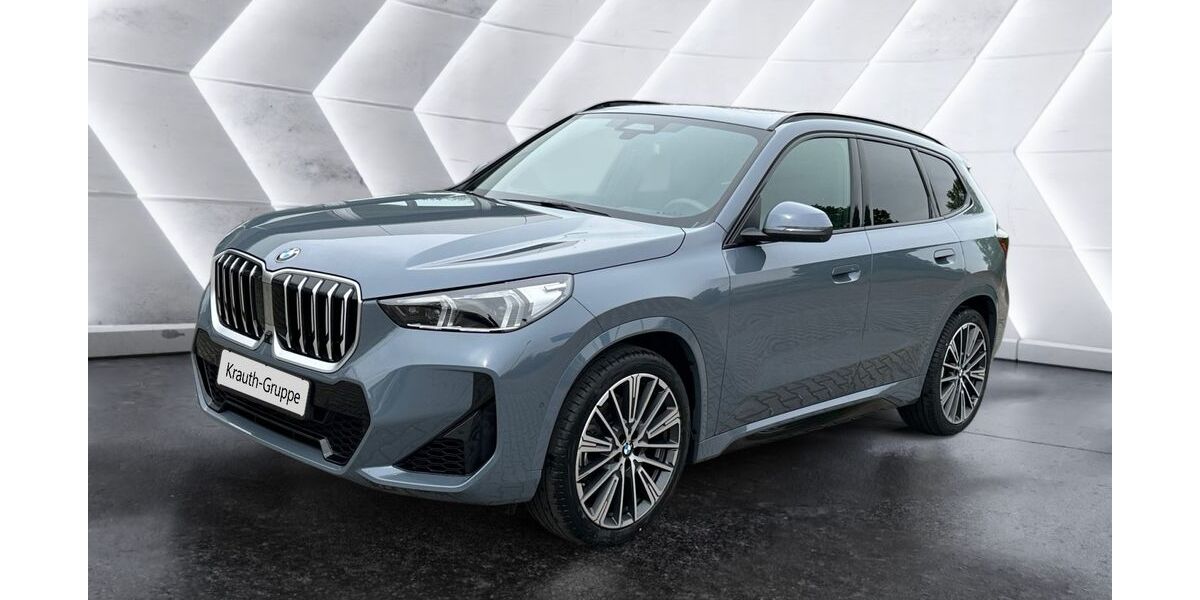 BMW X1 25.900 km 52.990 &euro; Hockenheim 68766